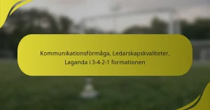 Kommunikationsförmåga, Ledarskapskvaliteter, Laganda i 3-4-2-1 formationen